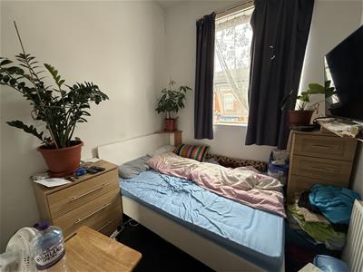 Picture 7